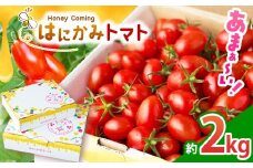 【先行予約】太陽の恵みをたっぷり浴びた はにかみトマト 約2kg ｜ 野菜 トマト フルーツ トマト ミニトマト 特産品 栃木県 真岡市 人気 お試し リコピン 豊富 1キロ 寄附 ベジタブル 果物 人気 高評価 野菜 送料無料