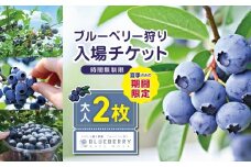 ブルーベリー狩り入場チケット 大人2人分 | ブルーベリー 新鮮 収穫体験 イベント 体験  チケット  栃木県 真岡市 送料無料