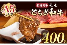 宮福笑牛(とちぎ和牛) A5 モモ焼き肉 約400g  |牛肉 和牛 焼き肉 やきにく 焼肉 焼肉用 モモ肉 もも肉 モモ もも 旨味 美味しい 肉 お肉 栃木県共通返礼品 栃木県 真岡市
