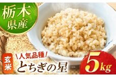 【先行予約】 とちぎの星 玄米 5kg  | お米 新米 米 白米 玄米 おにぎり 日本 主食 米 おいしい おこめ 5kg 10kg 20kg 30kg 栃木県 真岡市 送料無料