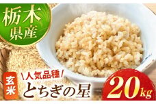 【先行予約】 とちぎの星 玄米 20kg  | お米 新米 米 白米 玄米 おにぎり 日本 主食 米 おいしい おこめ 5kg 10kg 20kg 30kg 栃木県 真岡市 送料無料