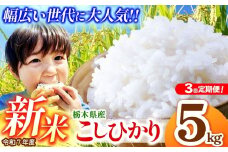 【先行予約】【定期便3回】栃木県産 コシヒカリ 5kg  | 新米 真岡市産 こしひかり コシヒカリ とちぎの星 銘柄 お米 米 おにぎり おむすび  ふるさと納税 先行 予約 栃木県 真岡市 送料無料 