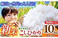 【先行予約】【定期便3回】栃木県産コシヒカリ 5kg×2 (10kg)  | 新米 真岡市産 こしひかり コシヒカリ とちぎの星 銘柄 お米 米 おにぎり おむすび  ふるさと納税 先行 予約 栃木県 真岡市 送料無料 