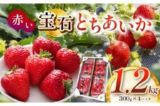 真岡市産 赤い宝石「とちあいか」いちご イチゴ 選べる 1.2kg | 苺 strawberry ストロベリー おいしい 甘い ジューシー 贈答用 プレゼント ご褒美 スイーツ おやつ 高評価 人気 レビュー 栃木県 真岡市 日本一 送料無料