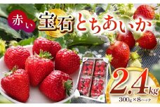 真岡市産 赤い宝石「とちあいか」いちご イチゴ 選べる 2.4kg | 苺 strawberry ストロベリー おいしい 甘い ジューシー 贈答用 プレゼント ご褒美 スイーツ おやつ 高評価 人気 レビュー 栃木県 真岡市 日本一 送料無料