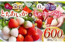 真岡市産 赤い宝石「とちあいか」・白い奇跡「ミルキーベリー」セット 600g | 紅白 赤 白 苺 strawberry ストロベリー おいしい 甘い ジューシー 贈答用 プレゼント ご褒美 スイーツ おやつ 高評価 人気 レビュー 栃木県 真岡市 日本一 送料無料
