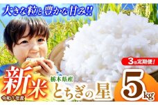 【先行予約】【定期便3回】とちぎの星 5kg  | 新米 真岡市産 こしひかり コシヒカリ とちぎの星 銘柄 お米 米 おにぎり おむすび  ふるさと納税 先行 予約 栃木県 真岡市 送料無料 