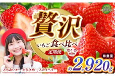 【2026年先行予約】とちあいか・スカイベリー・とちひめ贅沢いちご食べ比べ定期便 |定期便 贈答向け 美味しい  いちご 苺 ストロベリー 人気 果物 フルーツ 真岡市 栃木県 限定品種 送料無料 とちあいか スカイベリー とちひめ 食べ比べ 
