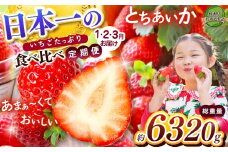 【2026年先行予約】日本一のいちごたっぷり食べ比べ定期便 |定期便 美味しい  いちご 苺 ストロベリー 人気 果物 フルーツ 真岡市 栃木県 限定品種 送料無料 とちあいか 食べ比べ 