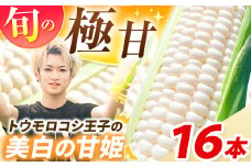 【2026年先行予約】とうもろこし 希少 トウモロコシ 王子の「美白の甘姫」8本×2箱 | トウモロコシ とうもろこし 甘い 白 トウモロコシ王子 プリンセス 王子 希少 おいしい 珍しい 栃木県 真岡市 送料無料