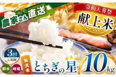 【定期便3回】令和大嘗祭献上米！真岡市産 とちぎの星（無洗米） 10kg × 3回 | 2025年 10月 11月 12月 秋 先行予約 新米 お米 米 こめ おにぎり おむすび お弁当 ごはん ご飯 ライス 丼ぶり 真岡産コシヒカリ 白米 真岡市 栃木県