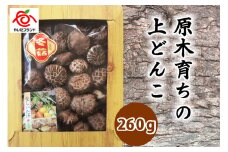 肉厚・厳選！原木育ちの上どんこ260g｜栃木県 矢板市 しいたけ 椎茸 産地直送  