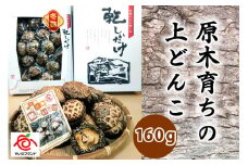 肉厚・厳選！原木育ちの上どんこ160g｜栃木県 矢板市 しいたけ 椎茸 産地直送  