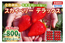 【先行予約】[数量限定] 年末年始にお届け！完熟朝摘みスカイベリー デラックス 800g 澳原いちご農園 | いちご 苺 イチゴ フルーツ 果物 産地直送 