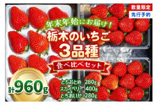 【先行予約】[数量限定] 年末年始にお届け！贅沢な栃木のいちご3種食べ比べセット 960g 澳原いちご農園 | とちあいか とちおとめ スカイベリー いちご 苺 フルーツ 果物 産地直送 
