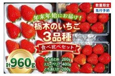【先行予約】[数量限定] 年末年始にお届け！贅沢な栃木のいちご3種食べ比べセット 960g 澳原いちご農園 | とちあいか とちおとめ スカイベリー いちご 苺 フルーツ 果物 産地直送 