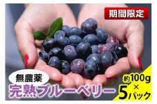[期間限定] 無農薬 完熟ブルーベリー 約100g×5パック [6月中旬より順次発送]｜栃木県産 矢板市産 フルーツ スイーツ デザート 果物 果実 産地直送 