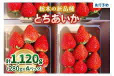 【先行予約】幸せを呼ぶハート型 栃木の新品種《とちあいか》1,120g (280g×4P)《12月中旬～4月の期間で発送》 澳原いちご農園 | いちご 苺 イチゴ フルーツ 果物 産地直送 