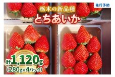 【先行予約】幸せを呼ぶハート型 栃木の新品種《とちあいか》1,120g (280g×4P)《12月中旬～4月の期間で発送》 澳原いちご農園 | いちご 苺 イチゴ フルーツ 果物 産地直送 