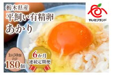【定期便6回】[平飼い有精卵30個] 濃厚な黄身が特徴 ワタナベファームのおてんば長女【平飼い有精卵あかり】 (毎月お届け）