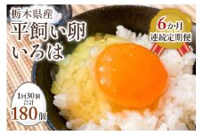 【定期便6回】全体的に甘みとコクのある黄身が特徴 ワタナベファームの優等生な末っ子【平飼い卵いろは】 (毎月お届け）