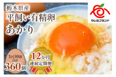 【定期便12回】[平飼い有精卵30個] 濃厚な黄身が特徴 ワタナベファームのおてんば長女【平飼い有精卵あかり】 (毎月お届け）