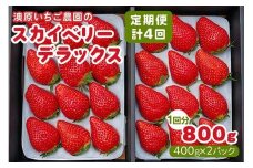 [先行予約] [4ヶ月連続定期便] スカイベリーデラックス定期便 (毎月お届け 計4回) 澳原いちご農園 | いちご イチゴ 苺 スカイベリー フルーツ 果物 産地直送 栃木県産 期間限定 数量限定
