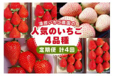 [先行予約] [4ヶ月連続定期便] 人気のいちご4品種お届け定期便 (毎月1品種お届け 計4回) 澳原いちご農園 | とちあいか とちおとめ スカイベリー ミルキーベリー いちご イチゴ 苺 フルーツ 果物 産地直送 栃木県産 期間限定 数量限定