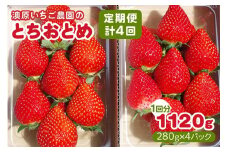 [先行予約] [4ヶ月連続定期便] とちおとめ定期便 (毎月お届け 計4回) 澳原いちご農園 | いちご イチゴ 苺 とちおとめ フルーツ 果物 産地直送 栃木県産 期間限定 数量限定