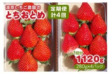 [先行予約] [4ヶ月連続定期便] とちおとめ定期便 (毎月お届け 計4回) 澳原いちご農園 | いちご イチゴ 苺 とちおとめ フルーツ 果物 産地直送 栃木県産 期間限定 数量限定
