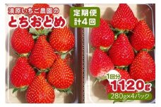 [先行予約] [4ヶ月連続定期便] とちおとめ定期便 (毎月お届け 計4回) 澳原いちご農園 | いちご イチゴ 苺 とちおとめ フルーツ 果物 産地直送 栃木県産 期間限定 数量限定