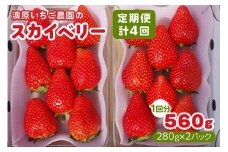 [先行予約] [4ヶ月連続定期便] スカイベリー定期便 (毎月お届け 計4回) 澳原いちご農園 | いちご イチゴ 苺 フルーツ 果物 産地直送 栃木県産