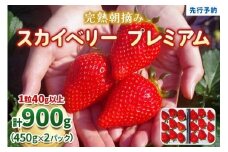 完熟朝摘みスカイベリー プレミアム 900g《1月中旬より順次出荷》 澳原いちご農園 | いちご 苺 フルーツ 果物 産地直送