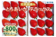 【先行予約】完熟朝摘みとちあいか デラックス 800g 《1月中旬より順次出荷》 澳原いちご農園 | いちご 苺 フルーツ 果物 産地直送 