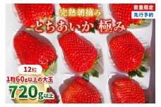 【先行予約】[数量限定] 完熟朝摘みとちあいか 極み 12粒《1月初旬から2月初旬に順次発送》 澳原いちご農園 | いちご イチゴ 苺 フルーツ とちあいか 果物 産地直送 栃木県産 