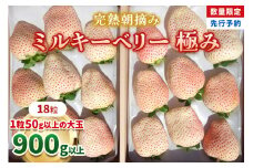 [数量限定] 完熟朝摘みミルキーベリー 極み 18粒《1月初旬～2月初旬に順次発送》 澳原いちご農園 | いちご イチゴ 苺 フルーツ ミルキーベリー 果物 産地直送 栃木県産