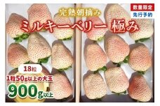 [数量限定] 完熟朝摘みミルキーベリー 極み 18粒《1月初旬～2月初旬に順次発送》 澳原いちご農園 | いちご イチゴ 苺 フルーツ ミルキーベリー 果物 産地直送 栃木県産