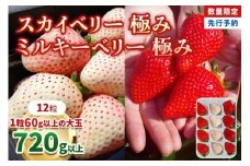 [数量限定] スカイベリー 極み×ミルキーベリー 極み 12粒《1月初旬～2月初旬に順次発送》 澳原いちご農園 | いちご イチゴ 苺 フルーツ スカイベリー ミルキーベリー 果物 産地直送 栃木県産