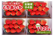 [先行予約] [4ヶ月連続定期便] とちあいか定期便 (毎月お届け 計4回) 澳原いちご農園 | いちご イチゴ 苺 とちあいか フルーツ 果物 果実 産地直送 栃木県産 期間限定 数量限定