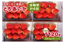 [先行予約] [4ヶ月連続定期便] とちあいか定期便 (毎月お届け 計4回) 澳原いちご農園 | いちご イチゴ 苺 とちあいか フルーツ 果物 果実 産地直送 栃木県産 期間限定 数量限定