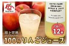 【定期便12回】栃木県矢板市産 樹上完熟100％りんごジュース 720ml×12本入  | 林檎 リンゴ 果汁100% 産地直送 (毎月お届け）  