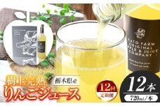 【定期便12回】栃木県矢板市産 樹上完熟100％りんごジュース 720ml×12本入  | 林檎 リンゴ 果汁100% 産地直送 (毎月お届け）  