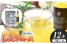 栃木県矢板市産 樹上完熟100％りんごジュース 720ml×12本入  | 林檎 リンゴ 果汁100% 産地直送  