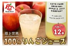 【定期便6回】栃木県矢板市産 樹上完熟100％りんごジュース 720ml×12本入  | 林檎 リンゴ 果汁100% 産地直送 (毎月お届け）  