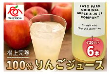 栃木県矢板市産 樹上完熟100％りんごジュース 720ml×6本入  | 林檎 リンゴ 果汁100% 産地直送  