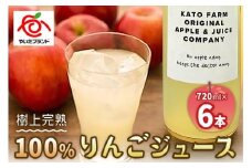 【定期便3回】栃木県矢板市産 樹上完熟100％りんごジュース 720ml×6本入  | 林檎 リンゴ 果汁100% 産地直送 (毎月お届け）