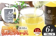 【定期便12回】栃木県矢板市産 樹上完熟100％りんごジュース 720ml×6本入  | 林檎 リンゴ 果汁100% 産地直送 (毎月お届け）  