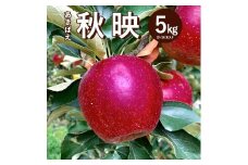 樹上完熟・葉とらず・りんご [ 秋映 ] 5kg | りんご 果物 フルーツ 秋映 産地直送 栃木県産