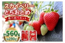 【1月以降発送】スカイベリー×とちおとめ 食べ比べセット 560g 澳原いちご農園  | いちご 苺 イチゴ フルーツ 果物 産地直送 栃木県産
