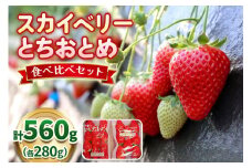 【2月以降発送】スカイベリー×とちおとめ 食べ比べセット 560g 澳原いちご農園  | いちご 苺 イチゴ フルーツ 果物 産地直送 栃木県産